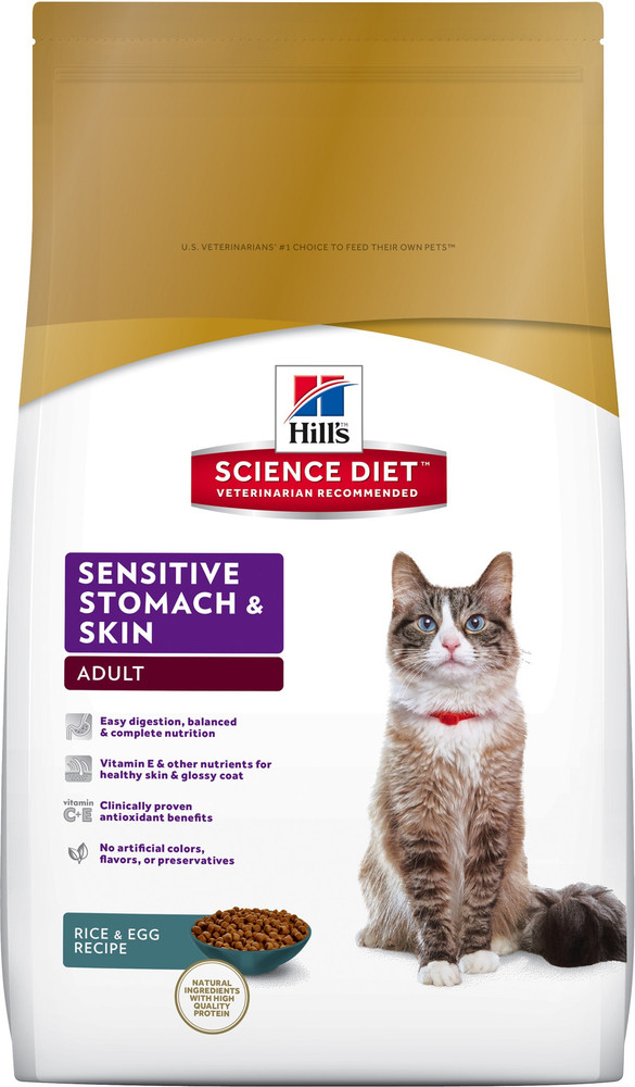 Egg and rice cat food 2025