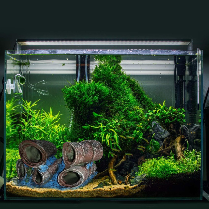 Discover 57+ 4 feet aquarium decoration - vova.edu.vn