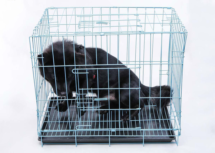 SHAFIRE Single Door Folding Metal Dog Cage with Paw Protector