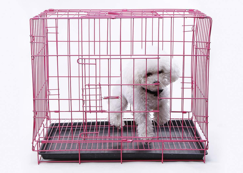 Dog cage deals flipkart