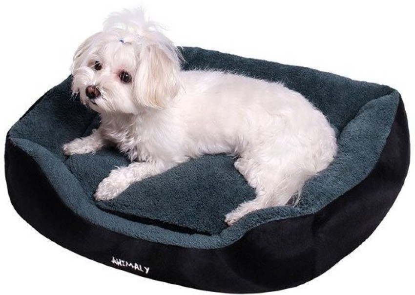 Dog bed clearance flipkart