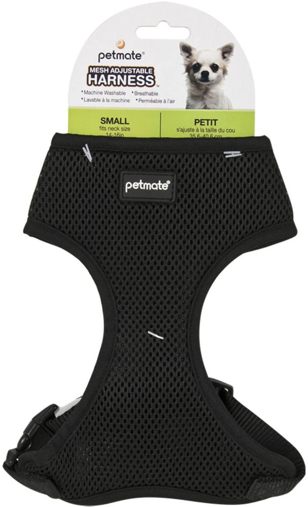 Petmate store dog harness