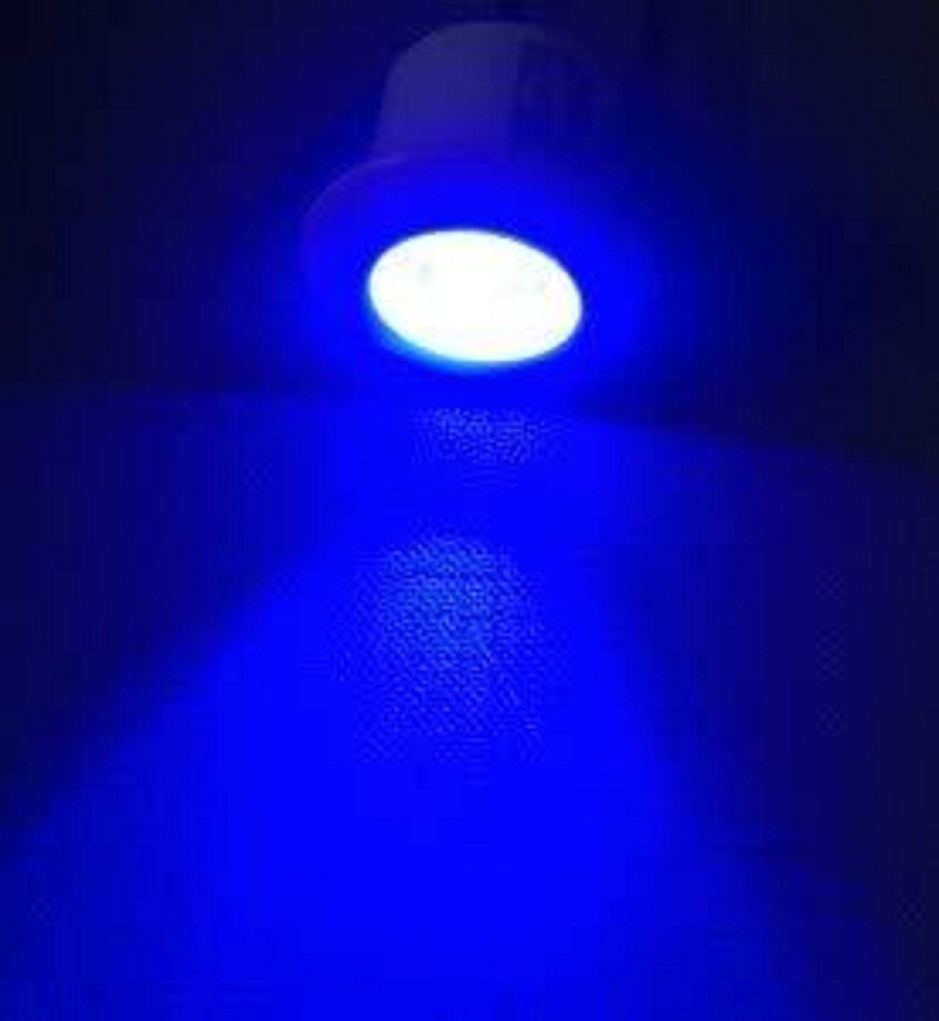 D Mak 1 Watt Round LED Button COB Blue Focus Light for Set 02 POP Recessed Ceiling Lamp Price in India Buy D Mak 1 Watt Round LED Button COB Blue Focus Light for
