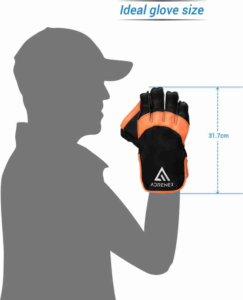 Adrenex by Flipkart Maestro Wicket Keeping Gloves Men Wicket Keeping Gloves Buy Adrenex by Flipkart Maestro Wicket Keeping Gloves Men Wicket Keeping Gloves Online at Best Prices in India Cricket