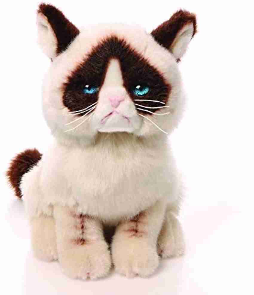 Soft Kitty Grumpy Cat