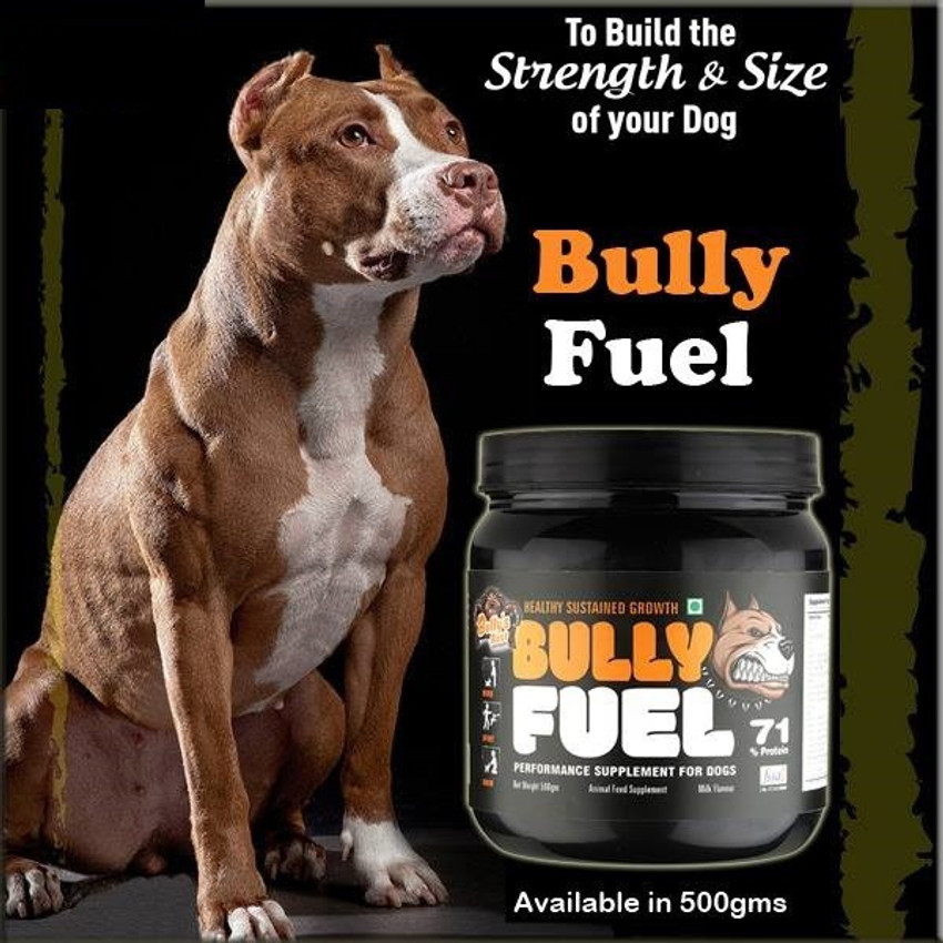 Best dog top supplements for muscle