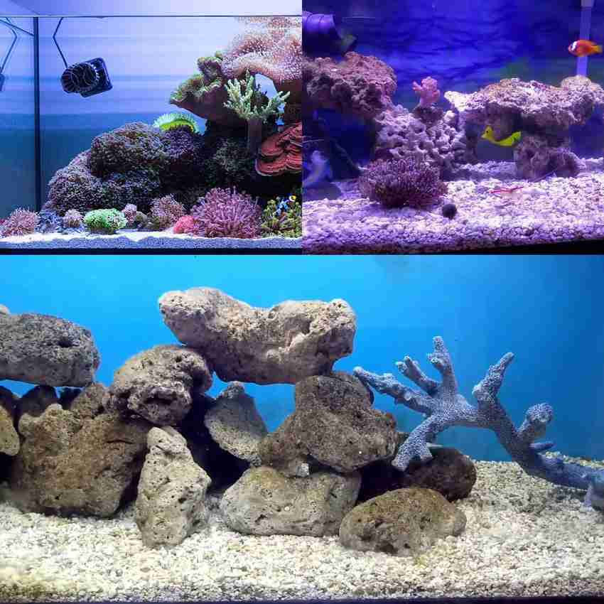 Coral sand for freshwater aquarium new arrivals