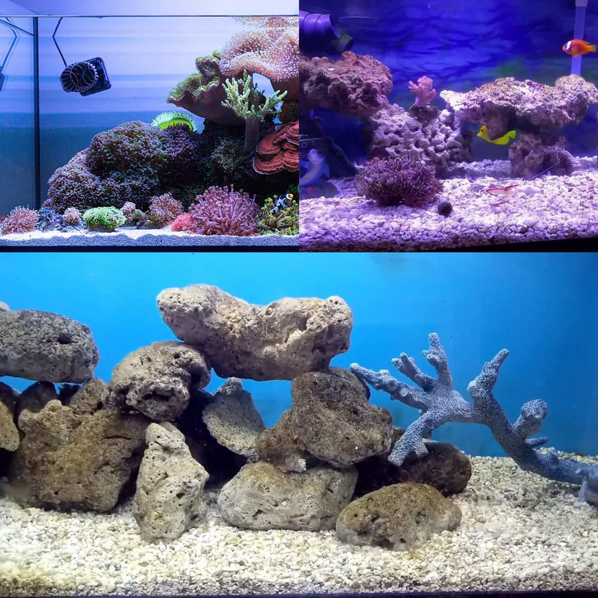 Saltwater aquarium sand hot sale