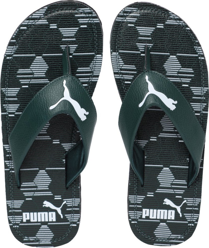 Buy PUMA Men Ketava Graphic v2 Slippers Online at Best Price