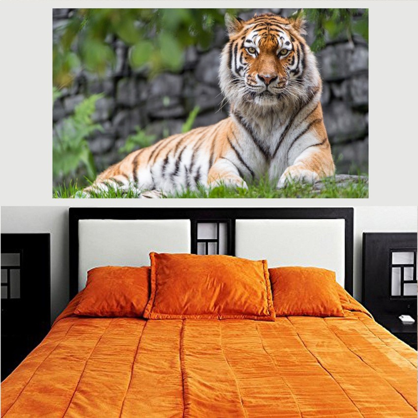 Royal Tiger 4K wallpaper download