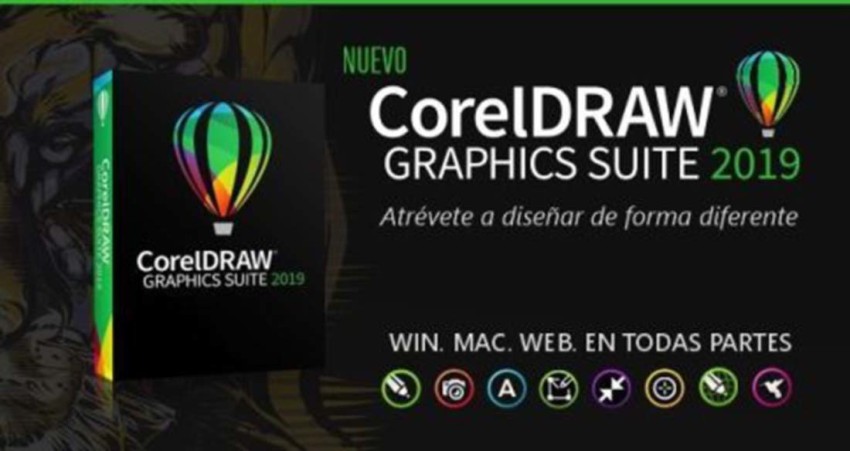 Corel Draw Graphic Suite 2019 - Corel Draw : Flipkart.com