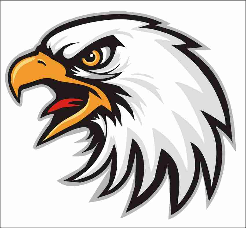 Sticker Hub 60 cm angry Eagle Wall Stickers 54Cm X 60Cm Self
