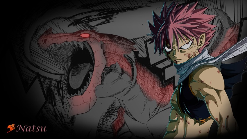 Wallpaper dragon, anime, art, two, Fairy Tail, Natsu Dragneel