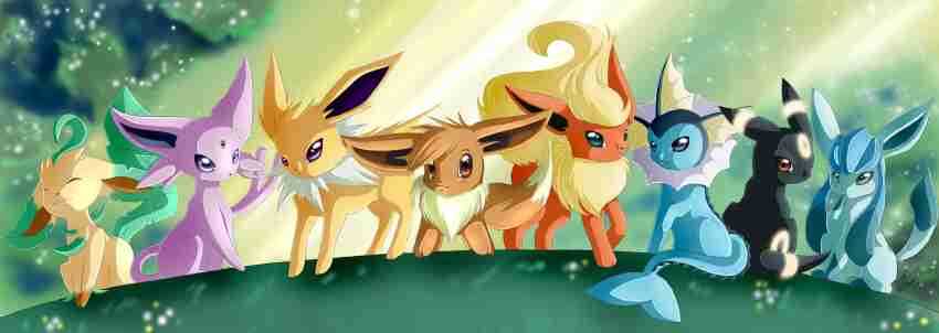 Eeveelution Eevee Umbreon Espeon Jolteon Flareon -  Israel