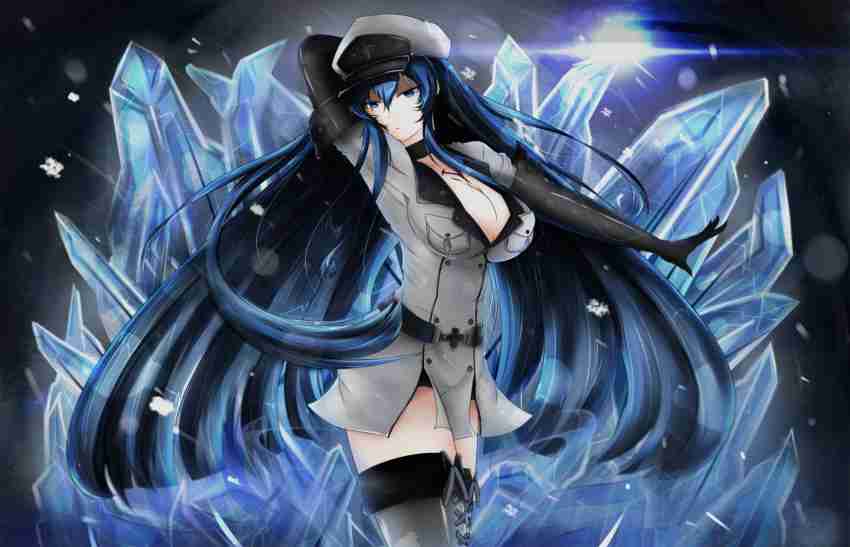 Esdeath Akame Ga Kill Matte Finish Poster Paper Print - Animation