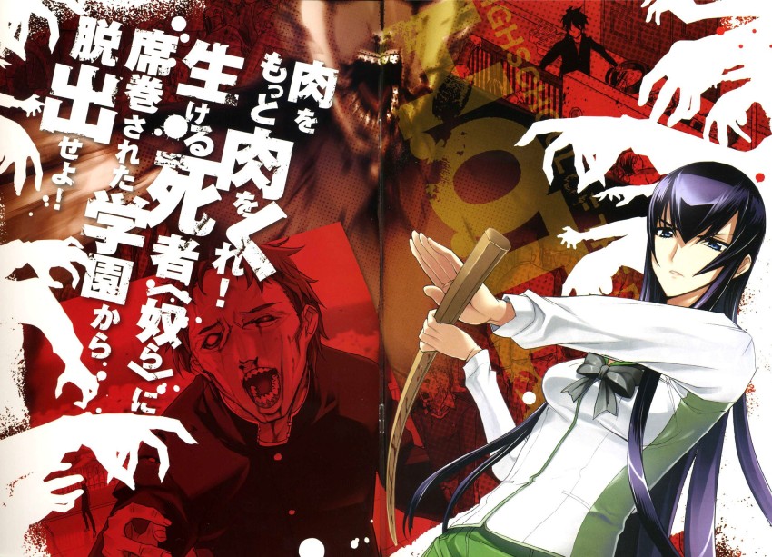 HD desktop wallpaper Anime Saeko Busujima Highschool Of The Dead  download free picture 956699