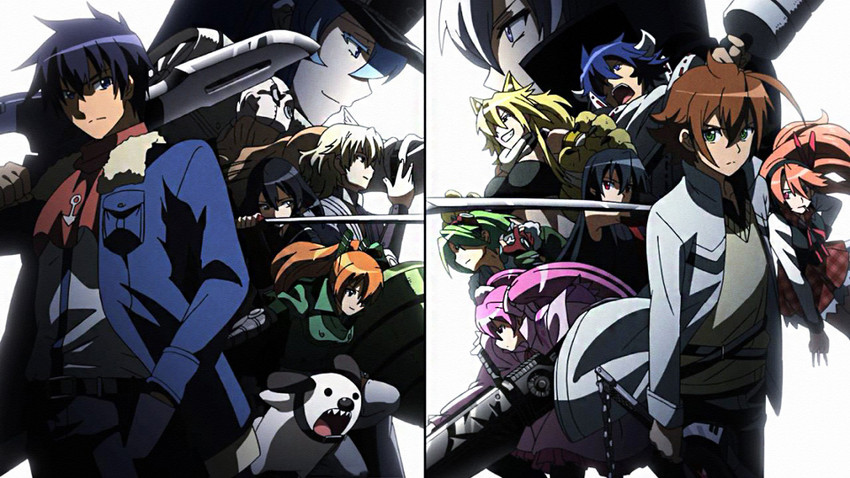 Akame ga Kill!, Leone (Akame ga Kill!), Akame, Sheele, Mine (Akame ga Kill),  anime, Leone