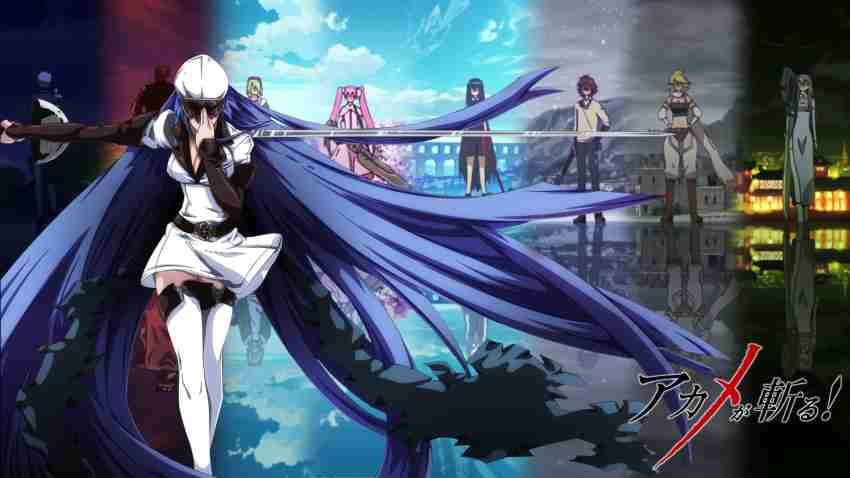 Esdeath Akame Ga Kill Matte Finish Poster Paper Print - Animation