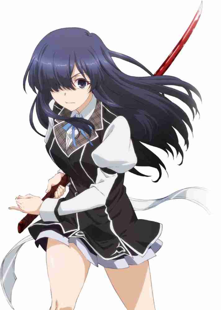 7 Interesting Anime Like Chivalry of a Failed Knight (Rakudai