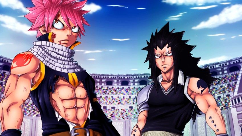 Anime Fairy Tail Gajeel Redfox Natsu Dragneel Matte Finish Poster Paper  Print - Animation & Cartoons posters in India - Buy art, film, design,  movie, music, nature and educational paintings/wallpapers at