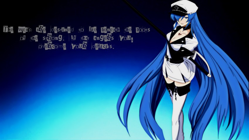 Akame ga Kill - Esdeath - Akame - Posters and Art Prints