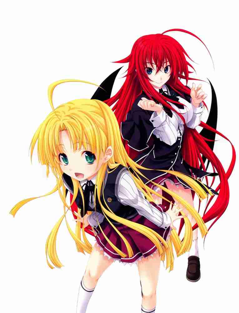 High School DxD Paint By Numbers - Numeral Paint Kit