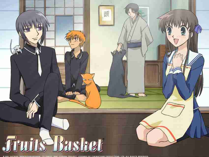 Kyo Sohma And Tohru Honda Fruits Basket Collector's Edition Review