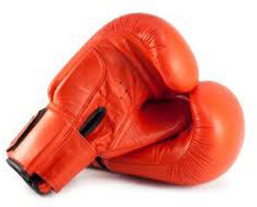 Masport boxer discount