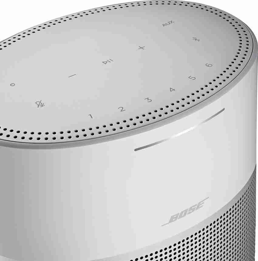 BOSE HOME SPEAKER 300