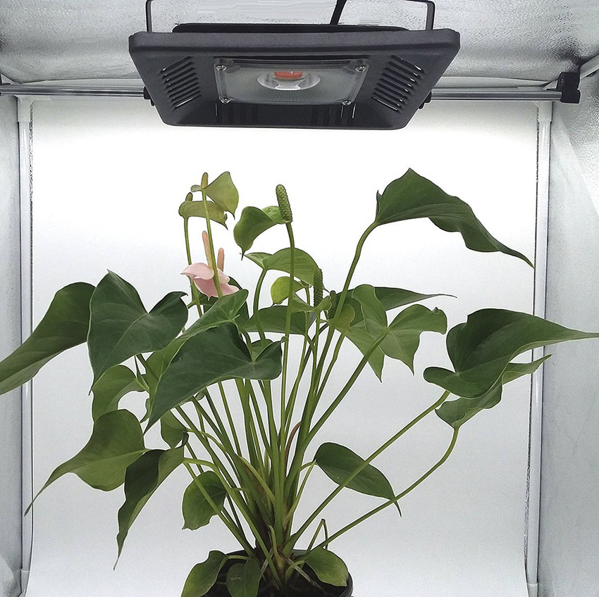 Fluortronix grow lights sale