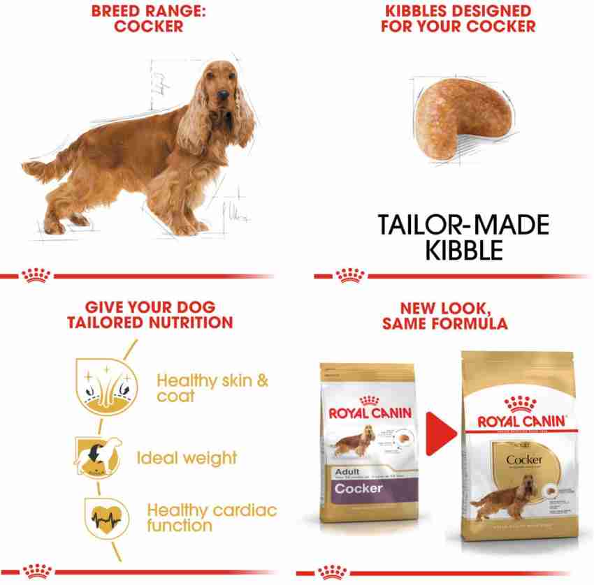 RC Cocker Spaniel Adult Dog Food 3kgs Chicken 3 kg Dry Adult Dog Food Price in India Buy RC Cocker Spaniel Adult Dog Food 3kgs Chicken 3 kg Dry Adult Dog