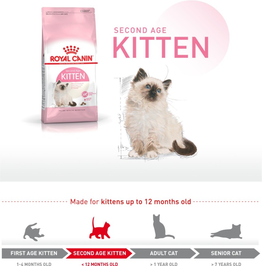 Royal canin kitten 36 best sale 2 kg