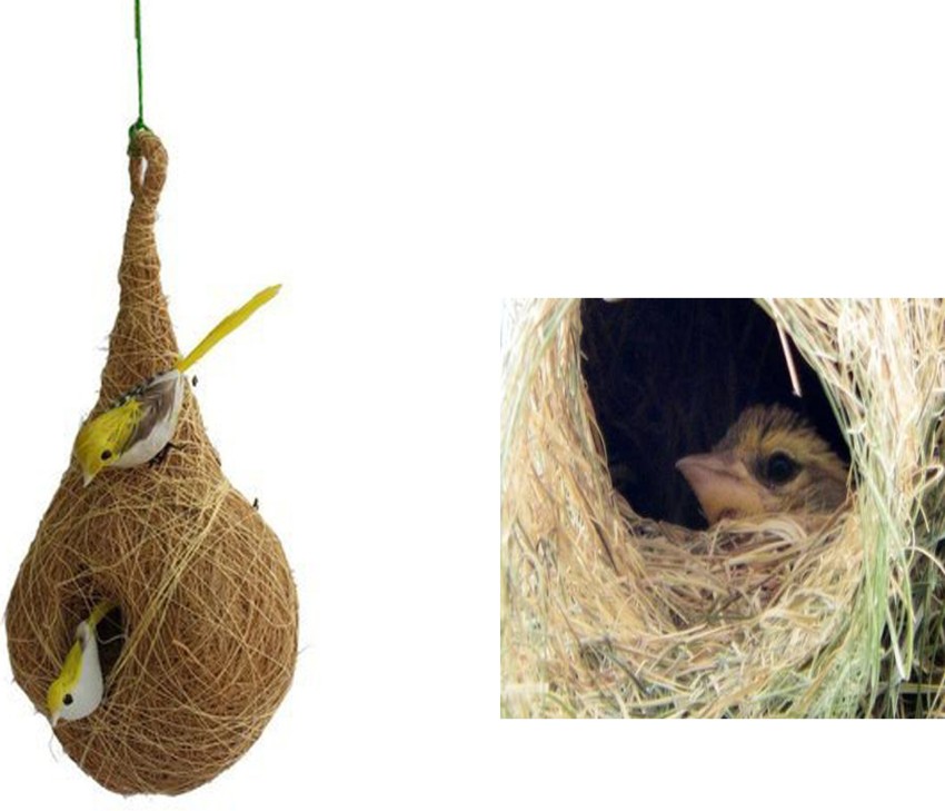 Coir Biodegradable Bird Nest at Rs 40/piece in Namakkal