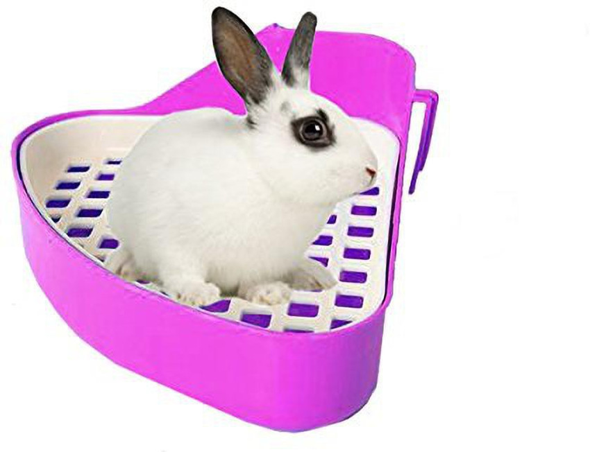Sage Square Jumbo Size Litter Tray Cum Potty Training with Scoop for Rabbit Guinea Pig Pink Pet Litter Tray Refill Price in India Buy Sage Square Jumbo Size Litter Tray
