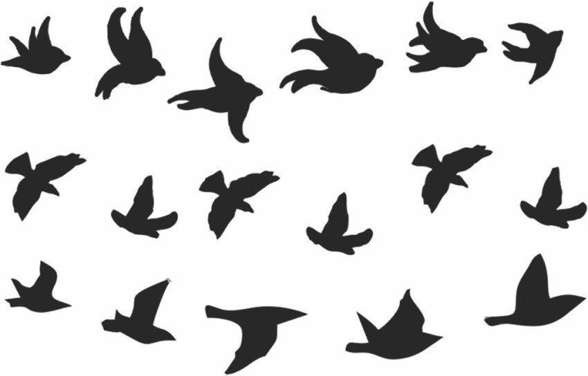 Bird Silhouettes Flying Birds Flock Black Drawing Flight Raven Tattoo  Template Monochrome Animal Wild Life Migration Stock Vector  Illustration  of freedom nature 191074167