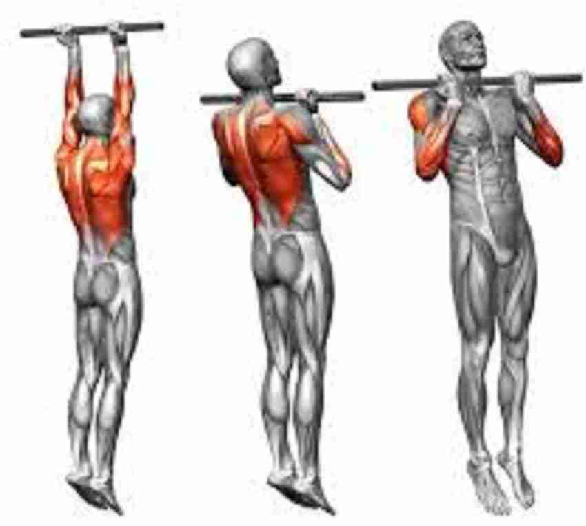 APTITUDE 6 feet Hanging Sangal Rod Height Increaser and Pull Ups