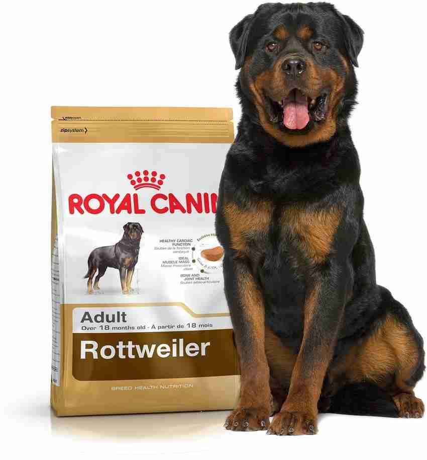 Royal canin rottweiler junior 12 kg best sale