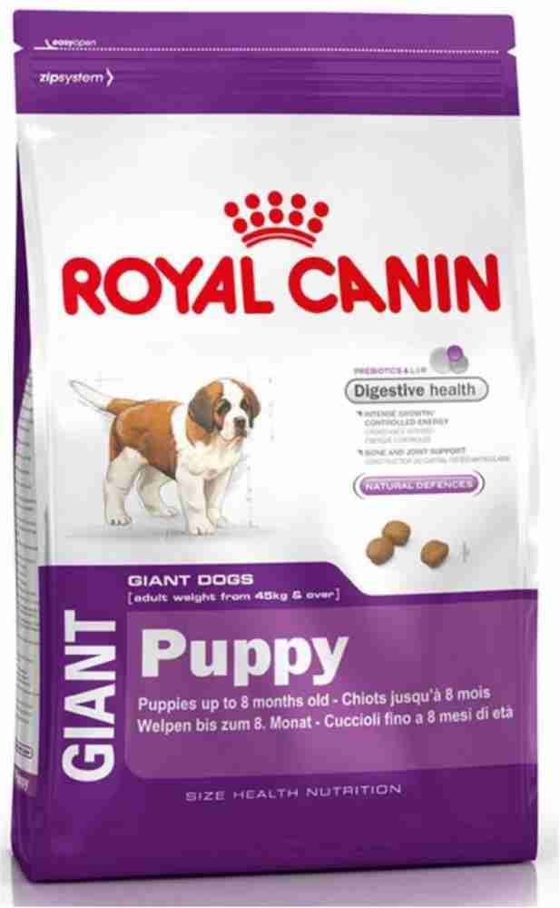 Royal canin dogue de bordeaux food sale