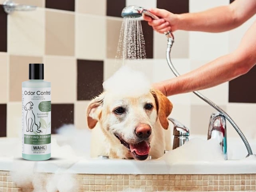 Wahl odor 2025 control dog shampoo