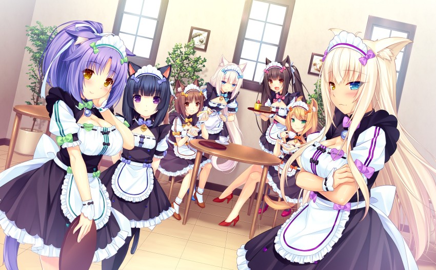 Nekopara Chocola GIF  Nekopara Chocola Vanilla  Discover  Share GIFs