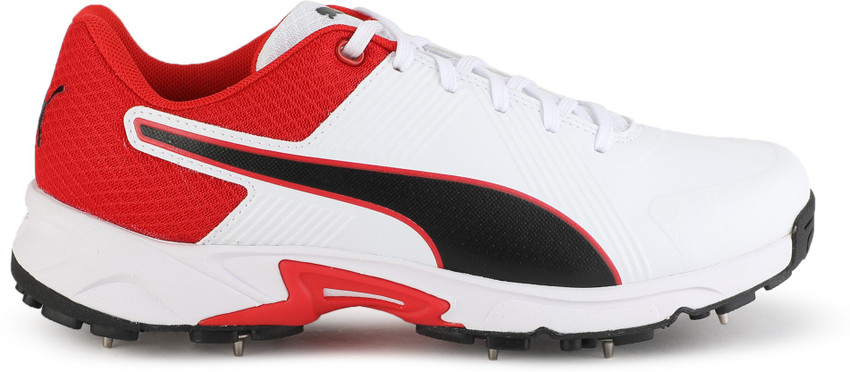 Buy PUMA Spike 19.2 Cricket Shoes For Men Online at Best Price
