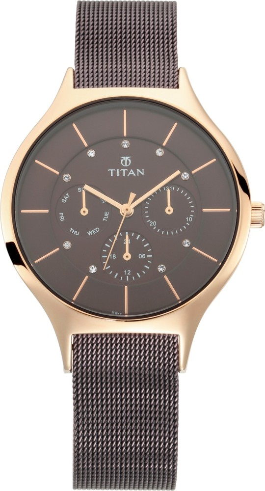 Titan watch clearance 95016wd01