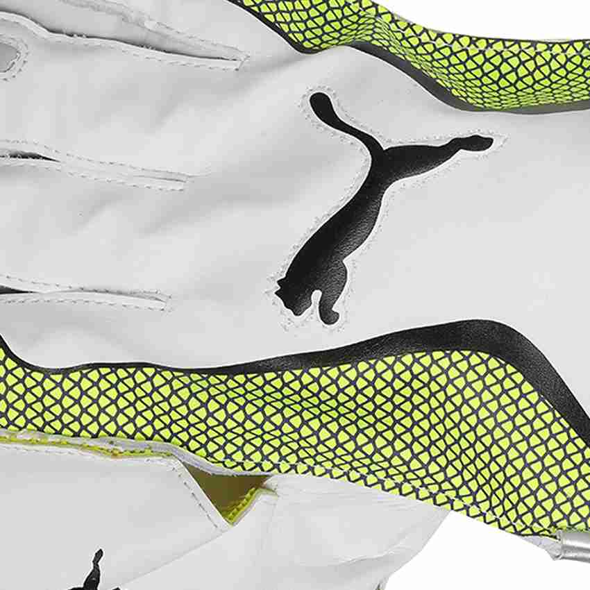 PUMA EVO 3 Wicket Keeper glove Wicket Keeping Gloves Buy PUMA