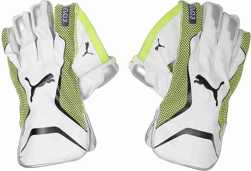 Puma evo 3 wicket keeping gloves 2025