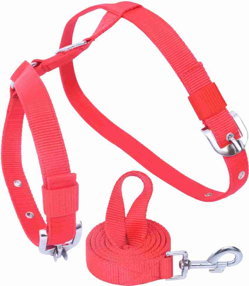 Elite Luxury Dog Harness And Leash Set