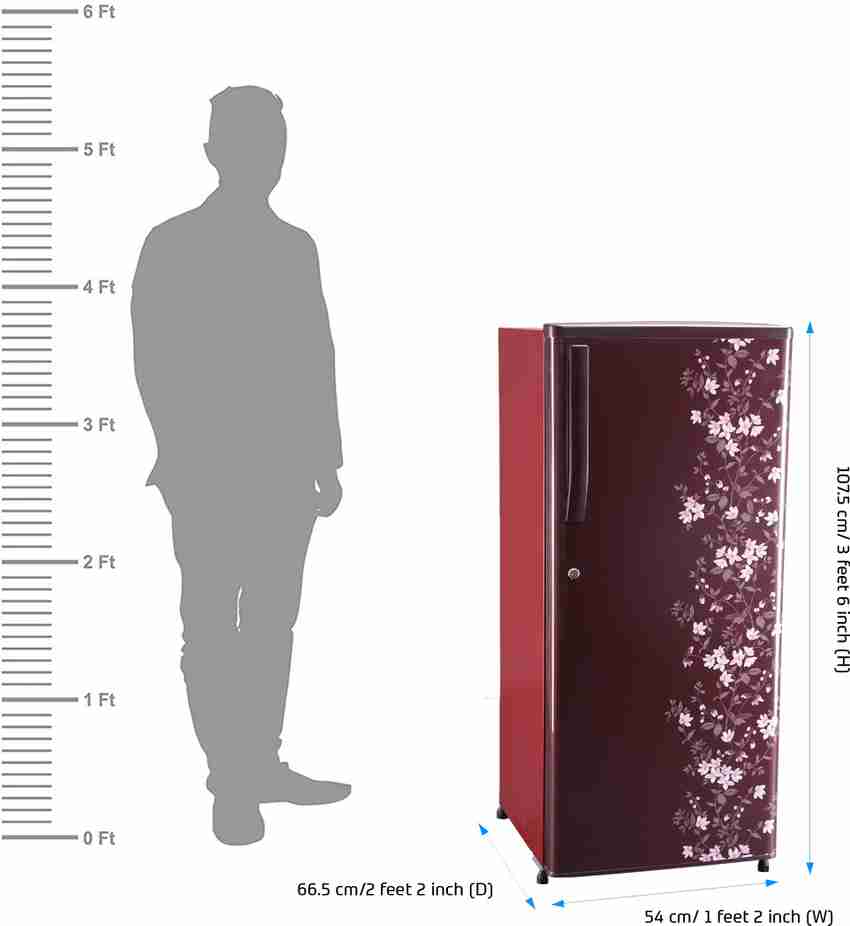 66.5 cm shop in feet