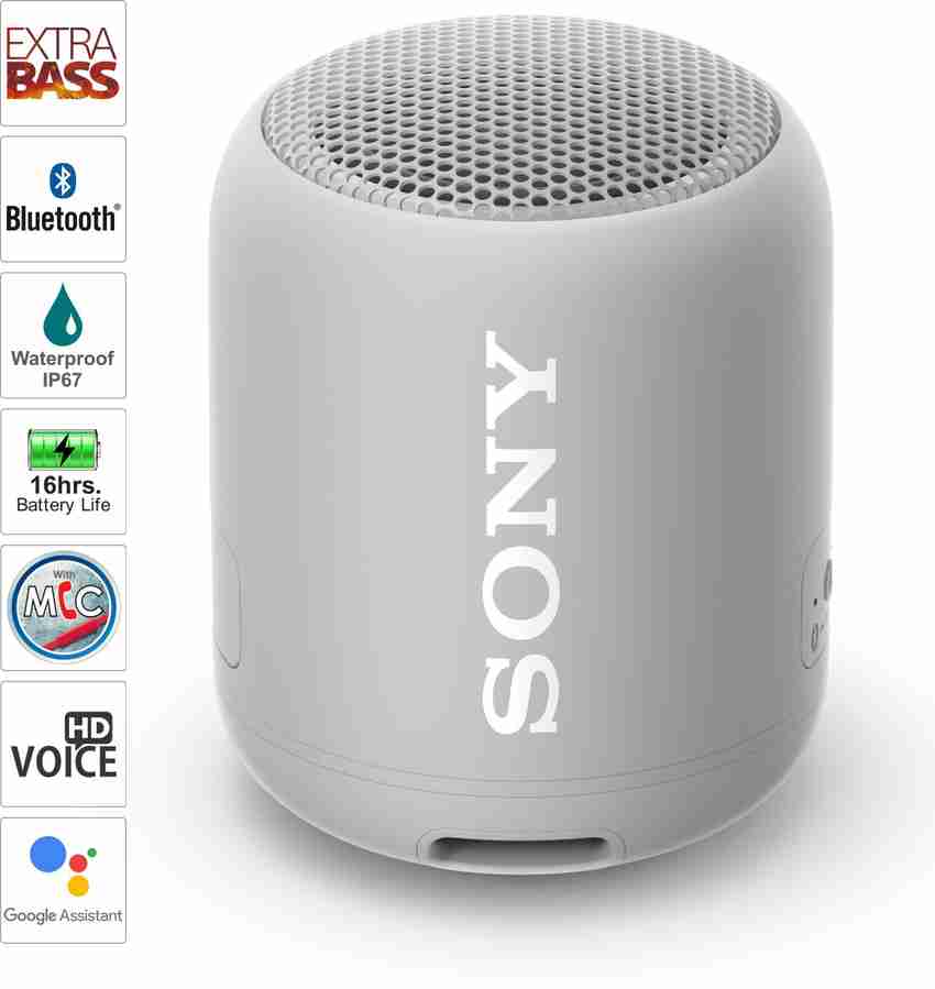 Sony srs sale 12