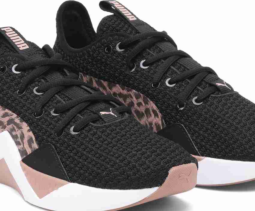 Puma incite leopard outlet