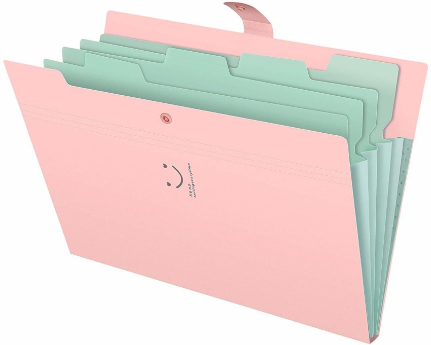 Flipkart.com | Corslet 5 Pocket A4 Size File Folder, Files and Document  Folder, Files Folders for Certificates, Files for Students, Folder for  School, Office Files and Folders, Document Organizer, Display Book,  Expanding
