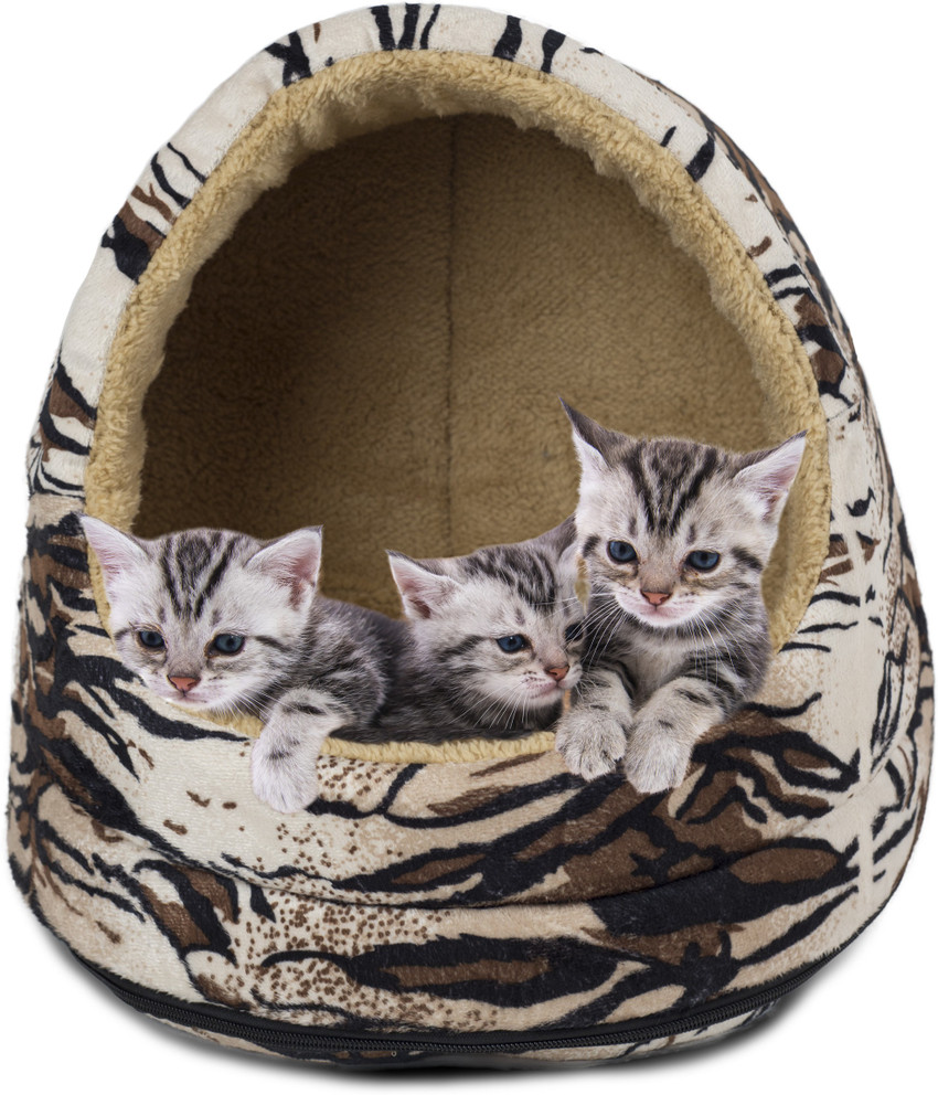 Furhaven pet cat furniture on sale